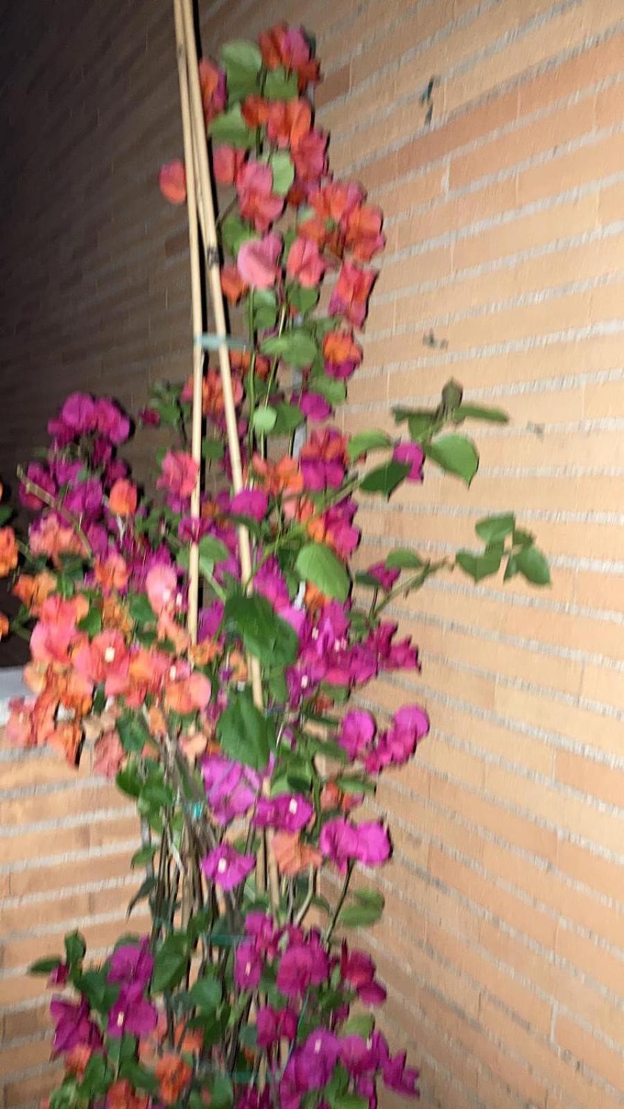 Le Mille E Una Notte Rom Exterior foto